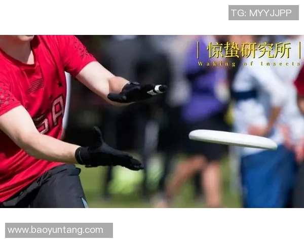 足球明星背后的秘密财务黑幕与偷漏税的真相揭秘